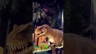 🦖🦕#shorts #trex #dinosaursofinstagram #velociraptor #jurassicpark3 #jurassic #jurassicworld