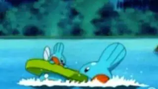 a little Hydropi clip.wmv