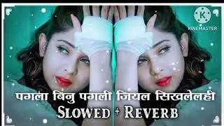 Pagla bina pagli song slow and reverb Please subscribe me 🙏