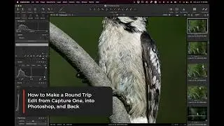 Round Trip Editing Between Capture One and Photoshop