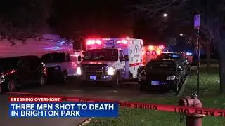 3 men found shot to death in Brighton Park, Chicago police say