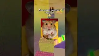 My stepsister Lied To The Teacher For Me 😱 #roblox #shorts #relatable