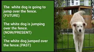 Building More Complex Sentences with Verbs