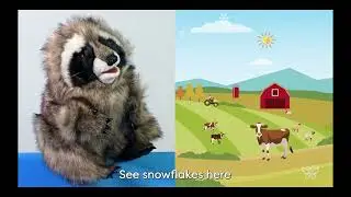 Learning with Geartrude_Wonderful Weather