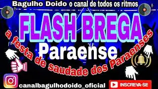 Flash Brega Paraense