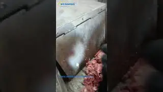 Hot Sale Meat Grinder Bone Crusher Bone Breaker