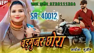 #Song | बड़गुजर छोरा | SR 40012 Aaina Mujeem | Sayar Mujeem Trending Song | Hit Mewati New Song 2025