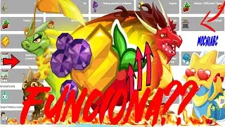 FUNCIONA ?? 😱HACK EN NAVEGADOR😱 - MOCHIABC - DRAGON CITY 👈😱