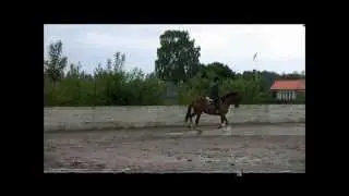 Provridning Karun