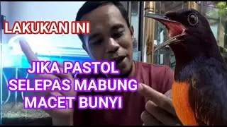 murai batu macet bunyi setelah mabung