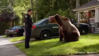 🐻 POLICE OFFICER PULLS OVER A BEAR?! 🚔 | Funny Animal Encounter