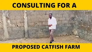 Catfish farm consultation
