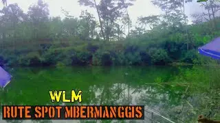 RUTE SPOT MBER MANGGIS || WLM