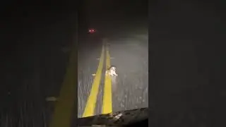 Rainy Night Rescue: I Stopped the Car to Save a Puppy (POV)