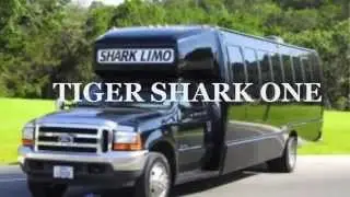 San Antonio Party Limo Bus Rental 210-226-5466