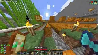 ExiledAnarchy.net: Havesting Pumpkins