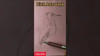 gray heron sketch