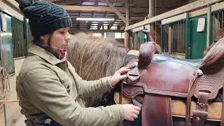 Parts of a Western Saddle for Horses
