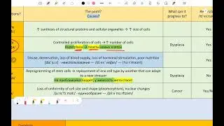 Cellular adaptations