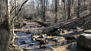 Ivy Creek Natural Area in February, 2020 - Albemarle County, VA