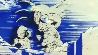 Ten shin han vs Jackie Chun ( Roshi ) 720p latino