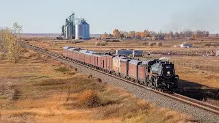 CP 2816 Steam Locomotive - The Empress on CPKC Brooks Sub and Freight Action - October 2023