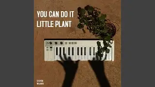 You Can Do It Little Plant