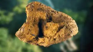 Viroinval, les visages d'une région