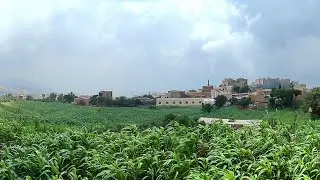 مدينة #المحويت وجمال الطبيعة الخلابة ومدرجاتها الزراعية الخضراء في خريف 2025