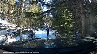 Switzerland Trail Colorado Scenic 4x4 Drive