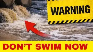 Why Sydney&rsquo;s Water Is Suddenly So Dangerous