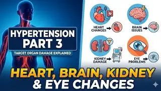 Hypertension Part 3 | Target Organ Damage Explained | Heart, Brain, Kidney & Eye Changes