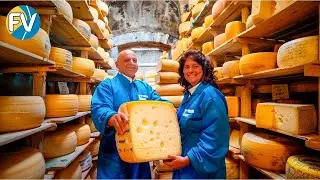 ¡MEGA producción de queso parmesano! ¡Descubra la mayor fábrica de queso parmesano de Italia!