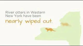 What's the Zoo Got to Do With Conservation: River Otters