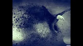Black Eagle By Skeleton Kings