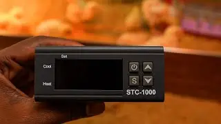 STC-1000 Chick Brooder Setup | Automatic Heating Guide for Newborn Chicks