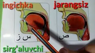 ARAB ALIFBOSI. TALAFFUZ DARSI. SIN - 