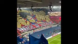 PSG Tifo 🥵🔥 #viral #shorts #onepiece