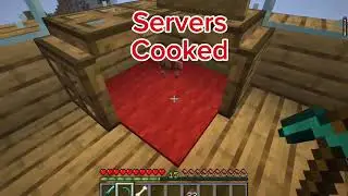 Server killed my dog