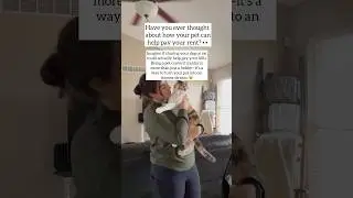How to get started as a Pet Influencer!