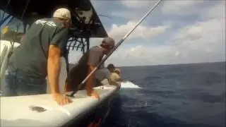 MAKO SHARK ATTACK with VooDoo Fishing Charters out of Venice, LA