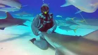 Cristina Zenato - Taming the Untamed - A GoPro Video