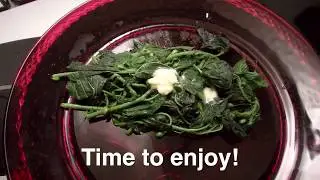 Wild Stinging Nettle - Nutritious Super Food!