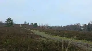 Goosky S1 max Rotorflight FlywooF405nano Goku part 1