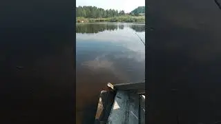 #весенняяохота #дача #hunting #готовканаприроде #survival #обзордачи