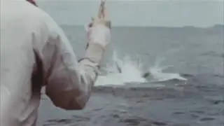 Lee Wulff Sailfishing in the 1960's