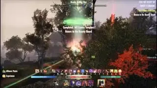 Elder scrolls Online Big Bomb on Hammer Zerg PS5