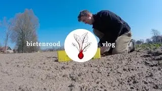 Bietenrood VLOG #11 - De jaren '90 belde; ze willen hun gevulde aubergines terug...