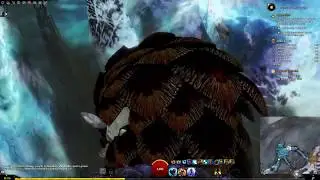 Guild Wars 2 - dragon bash race