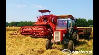 Farming25 Polska Wsi : Odc16 : Stara Wieś i AgentP wyfrunął z gniazda na swoje